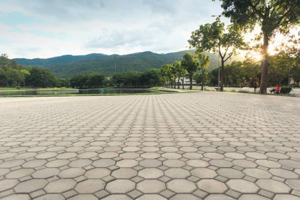 Best Commercial Driveway Pavers  in Denver, CO